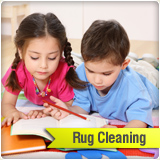 area rugs and oriental rug cleaning